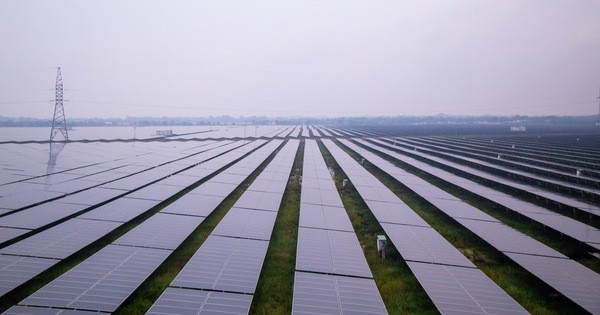 Nhà đầu tư Singapore và Đài Loan muốn mua 2 dự án điện mặt trời ở Quảng Trị