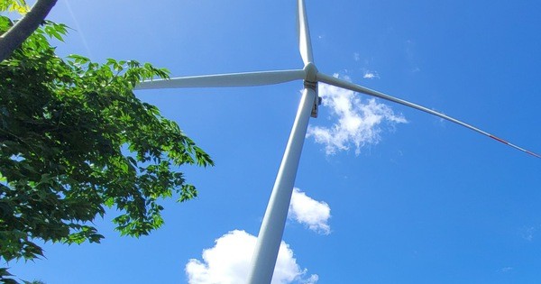 Điện gió ồn làm dân khổ, chính quyền nói chưa có quy định đền bù