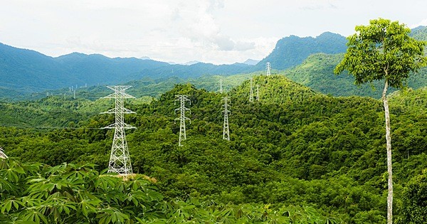 Điện gió Lào ào về Việt Nam?