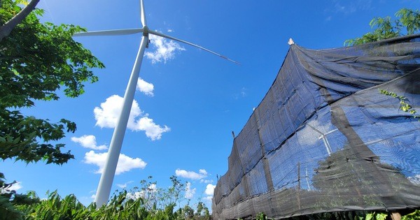 Phê duyệt Quy hoạch phát triển điện lực quốc gia, ‘số phận’ các nguồn điện tái tạo ra sao?