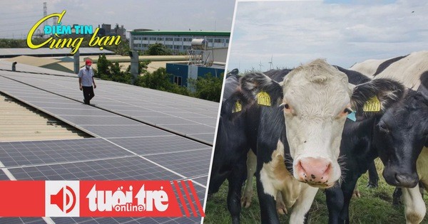 Điểm tin 18h: Sẽ có giá mua điện mặt trời dư thừa; Đan Mạch đánh thuế phân bò, cừu, heo