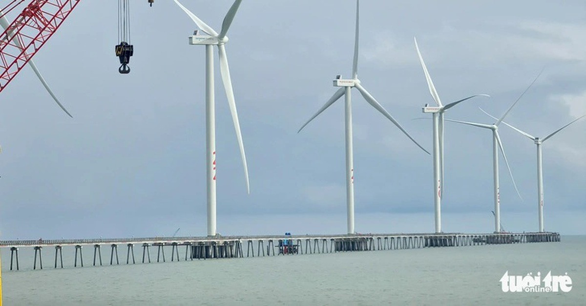 Giao hàng chục ngàn héc ta mặt biển cho hai tập đoàn EVN, PVN khảo sát điện gió