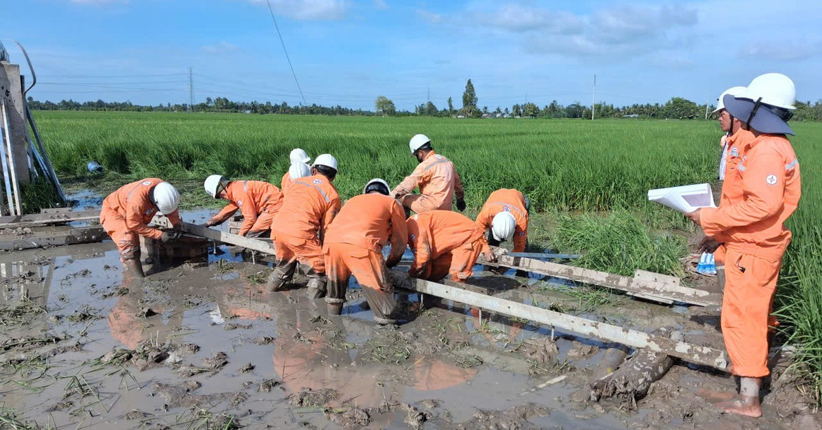 Đầu tư xây dựng lưới điện năm 2025: EVNSPC về đích vượt chỉ tiêu