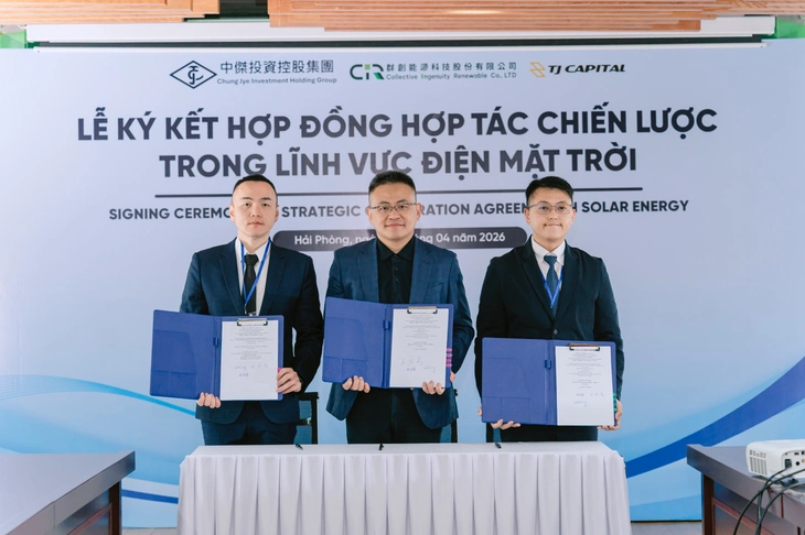 điện mặt trời - Ảnh 1.